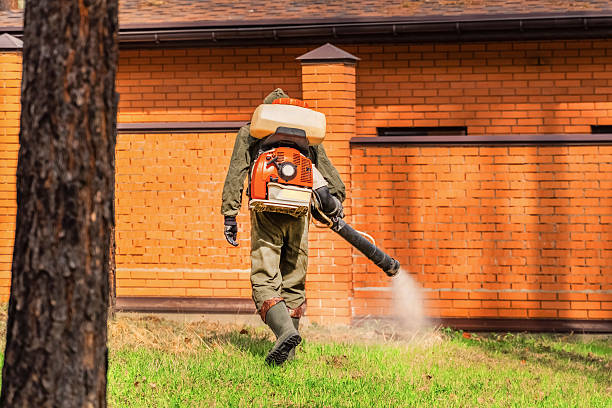 Trusted Cockroach Control service in Rossville, TN - Nex Pest Control